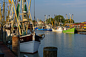 Hafen mit Krabbenkuttern in Büsum, Büsum, Dithmarschen, Nordseeküste, Schleswig Holstein, Deutschland, Europa