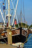 Harbor with shrimp cutters in Büsum, Büsum, Dithmarschen, North Sea Coast, Schleswig Holstein, Germany, Europe