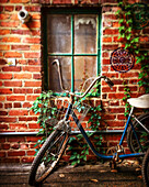Antique Bicycle against Brick Wall with Ivy