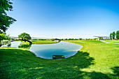 Pond with reflection in golf grassland