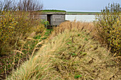 Hütte zur Vogelbeobachtung, Lüttmoordamm, Beltringharder Koog, Nationalpark Wattenmeer, Schleswig-Holstein, Deutschland