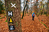 Woman hiking through autumn forest, signage Heidschnuckenweg in the foreground, Heidschnuckenweg, nature reserve beech forests in the Rosengarten, Rosengarten state forest, Lower Saxony, Germany