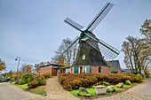 Windmühle in Dibbersen, Dibbersen, Heidschnuckenweg, Niedersachsen, Deutschland
