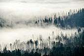 Wolkenstimmung im Nationalpark Harz, Blick vom Brocken, Brocken, Harz, Nationalpark Harz, Sachsen-Anhalt, Deutschland