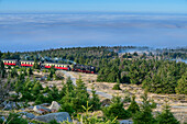 Steam train on the Brocken drives through low mountain range landscape, Brockenbahn, Harz, Harz National Park, Saxony-Anhalt, Germany
