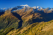 View of Lasörling and the autumn-colored forest on the ascent to the Bonn-Matreier-Hütte, Virgental, Hohe Tauern, Hohe Tauern National Park, East Tyrol, Austria