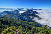 Blick auf Heuberg und Mangfallgebirge mit Nebelmeer über dem Voralpenland, von der Hochries, Chiemgauer Alpen, Chiemgau, Oberbayern, Bayern, Deutschland