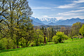Herrlicher Blick unweit des Guglhör Anwesens über das Murnauer Moos auf das Wettersteingebirge im Frühling Murnau, Bayern, Deutschland
