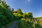 Blick auf die beeindruckende Ruine Niederburg von Kobern-Gondorf im Frühling, Mosel, Rheinland-Pfalz, Deutschland