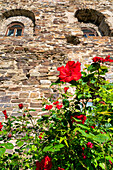 Detail of the castle tower of the Oberburg of Kobern-Gondorf in spring, Moselle, Rhineland-Palatinate, Germany