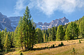 Unterhalb der beeindruckenden Geislergruppe, Naturpark Puez-Geisler, Lungiarü, Dolomiten, Italien, Europa