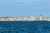 Duene Heligoland from the water side, Heligoland, Insel, Schleswig-Holstein, Germany