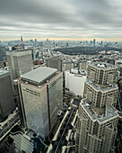 Blick auf Wolkenkratzer und Regierungsgebäude der Metropole Tokio, Japan, Asien