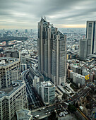 japan; tokyo; tokio; asia; metropolitan goverment building; skyscraper; view; cityscape; architecture;