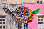 Ein farbenfrohes fantastisches Fabelwesen als Streetart an einer Hauswand neben der Universität von Coimbra, Portugal