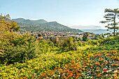 View from the garden of Villa Taranto on Lake Maggiore towards Stresa, Pallanza, Piedmont, Italy