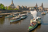 Steamboats on the Elbe during the annual fleet parade in Dresden, Saxony, Germany