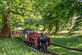 Park railway steam locomotive in the Great Garden of Dresden, Saxony, Germany