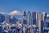 Japan, Tokyo City, Shinjuku Skyline und der Berg Fuji.