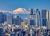 Japan, Tokyo City, Shinjuku Skyline und der Berg Fuji.