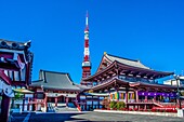 Japan,Tokyo City,Mamamatsucho area,Zojoji Temple and Tokyo Tower.