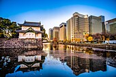 Japan,Tokyo City,The Imperial Palace,Otemachi District Skyline.