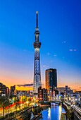 Japan, Tokyo City, Sky Tree Tower.