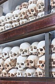 Cambodia,Phnom Penh,The Killing Fields of Choeung Ek,Memorial Stupa filled with over 800 skulls of Khmer rouge victims.