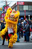 Chinesische Neujahrsparade auf der Pender Street in Vancouver, BC, Kanada.