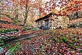 Rural house between chestnuts on autumn time. Sierra de Gredos. Casillas. Avila. Spain. Europe.