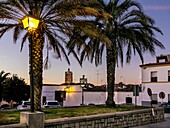 Laternenpfähle und Palmen am Platz Herz der Maria und Kirche Unserer Lieben Frau von Candelaria im Hintergrund in Zafra. Badajoz. Spanien. Europa.
