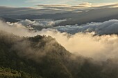 Sea of clouds below Kamanbaneng Peak (Marlboro Country),Sagada,Mountain Province,Philippines.