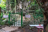 Thum Luang-Khun Nang Non Forest Park,Maesai where 12 boys and their soccer coach were rescued last July 11,2018 from Thai Cave incident.