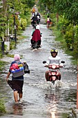 Königsflut in Kampung Mempawah, West Kalimantan, Indonesien