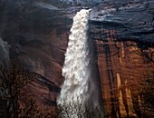 Heavy rains have produced ephemeral waterfalls at Zion National Park,Utah.