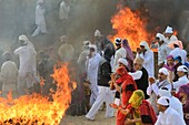 Indien, Rajasthan, Mukam, Jambeshwar Festival, Bishnoi-Anhänger im Gebet vor Havans oder heiligen Feuern.