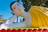 Liegender Buddha im Park der Pagode Hong Hien, Frejus, Var, Provence-Alpes-Cote d'Azur, Frankreich, Europa.