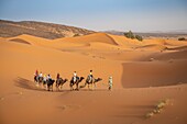 Karawane von Menschen, die mit dem Kamel durch die Erg Chabbi-Dünen von Merzouga, Marokko, reisen.