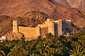 Sultanat of Oman,governorate of Al-Batina,Nakhl,Nakhl Fort or Husn Al Heem,fortress,historic mudbrick building.
