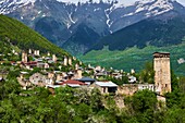 Georgia,Svaneti,Mestia,UNESCO-Welterbe mit ihren Türmen namens Koki.