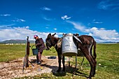 Kyrgyzstan,Naryn province,Song Kol lake,Kirghiz nomad's yurt camp,water duty.