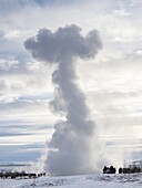 Geysir Strokkur im geothermischen Gebiet Haukadalur, Teil des Goldenen Kreises im Winter. Europa, Nordeuropa, Skandinavien, Island, Februar.