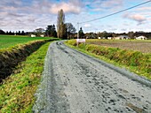 country road approaching Serres-et-Montguyard,Lot-et-Garonne Department,Nouvelle Aquitaine,France.
