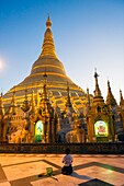 Myanmar (früher Burma). Rangun. (Rangoon). Die buddhistische Shwedagon-Pagode ist das erste religiöse Zentrum Burmas, da sie der Legende nach Relikte von vier alten Buddhas enthält, darunter acht Haare des Gautama-Buddha. Betende Frau vor dem großen Stupa