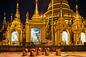 Myanmar (früher Burma). Rangun. (Rangoon). Die buddhistische Shwedagon-Pagode ist das erste religiöse Zentrum Burmas, da sie der Legende nach Relikte von vier alten Buddhas enthält, darunter acht Haare des Gautama-Buddha. Nonnen vor dem großen goldenen Stupa