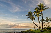 'Kokospalmen und Berge im Westen von Maui im frühen Morgenlicht von Wailea; Maui, Hawaii'