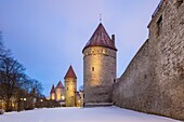 Winterabend an der Stadtmauer in der Altstadt von Tallinn, Estland.
