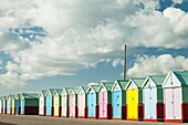 Bunte Strandhütten an der Strandpromenade von Brighton und Hove, East Sussex, England.