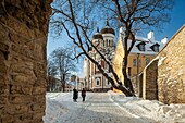 Wintermorgen in der Alexander-Newski-Kathedrale in der Altstadt von Tallinn, Estland.