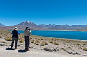 Touristen fotografieren den Miscanti-Vulkan 5640 m (18.504 ft. ) und die Miscanti-Lagune im Los Flamencos National Reserve in der Nähe von San Pedro de Atacama in der Atacama-Wüste im Norden Chiles.